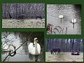 Winterwandeling-Kiewit (31)